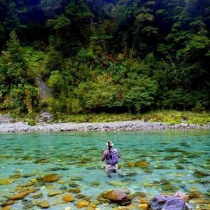 Meet your Posher, Paul